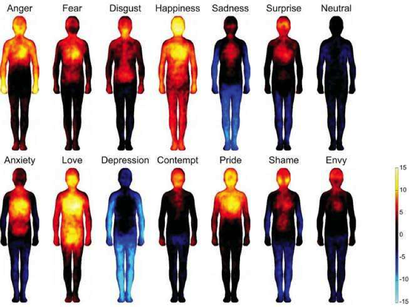 La carte des émotions et du corps