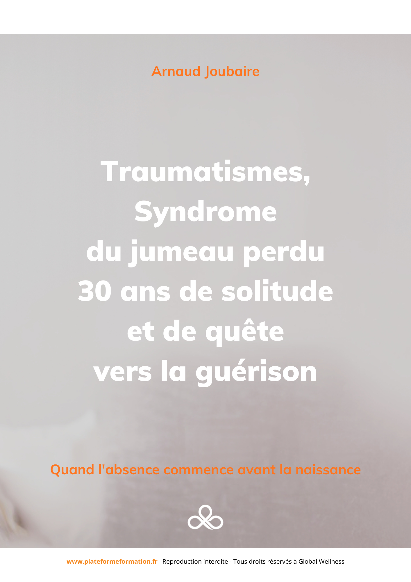Livre jumeau perdu